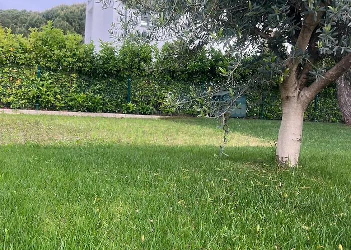 Valamar Luxury Draci